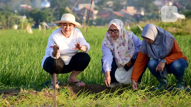 Semarang