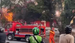 Kronologi Kabel Terbakar hingga Merambat ke Pohon di Cinere Depok