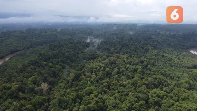 Hutan di Kutai Kartanegara