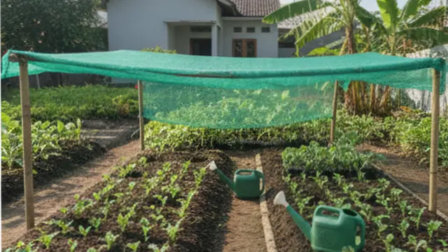 Cara Menanam Kembang Kol di Kebun Rumah Lahan 2x2 Meter. AI