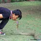 Rizki Ahmat saat bersama ular king cobra di Taman Tugu Soekarno, sebelum dipatuk ular peliharaannya di Bundaran Besar, Kota Palangkaraya, Kalimantan Tengah, Minggu pagi, 7 Juli 2018. (Dok. Kalteng Post/Jawa Pos Group)