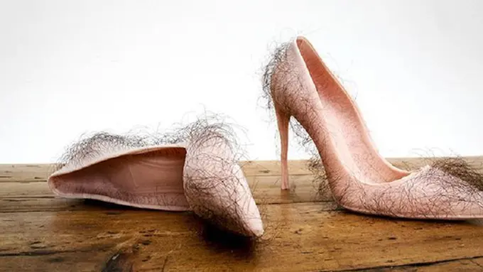 foto: copyright dailymail.co.uk