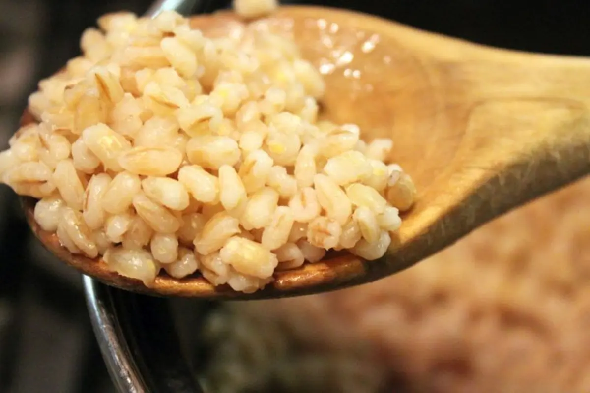 Barley