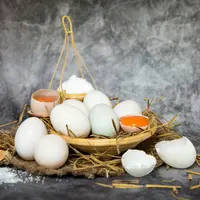 ilustrasi Urutan Membuat Telur Asin Bebek Yang Mudah Dengan Air Garam/jena028kan/shutterstock
