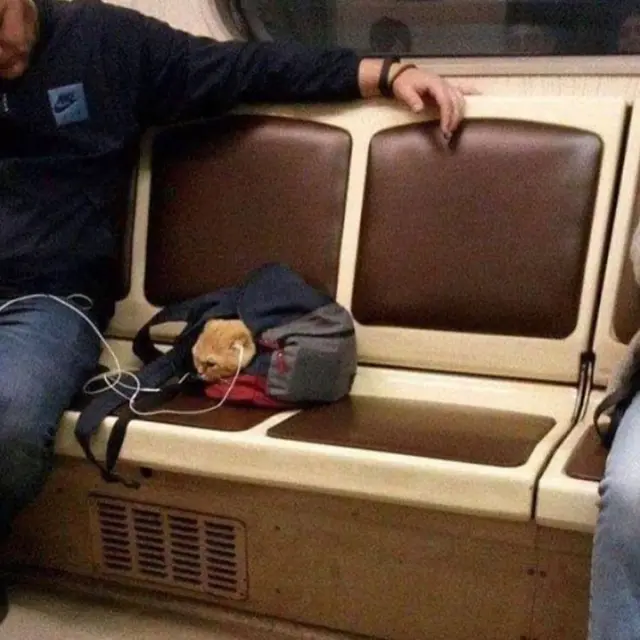 6 Momen Gokil Pakai Earphone Ini Kelewat Absurd, Bikin Geleng Kepala