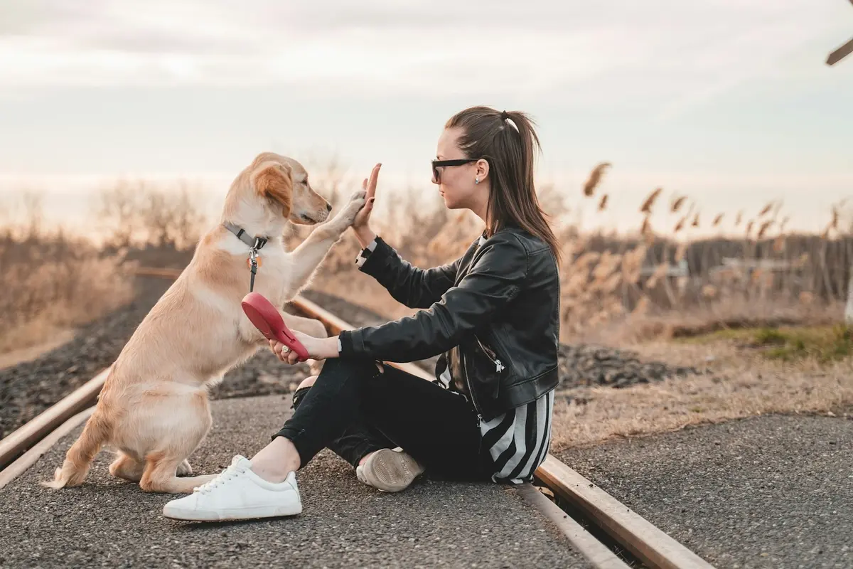 Dog and Owner