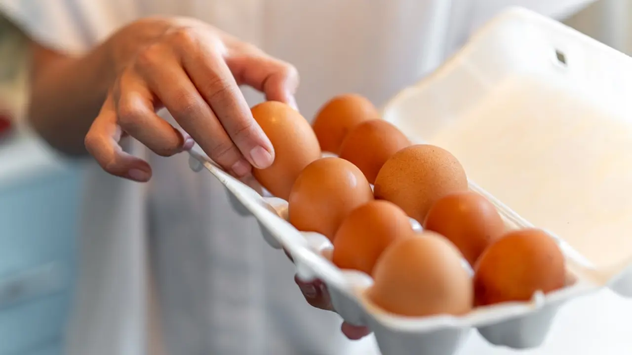 Tips Telur Segar