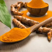 Ilustrasi rempah/copyright shutterstock