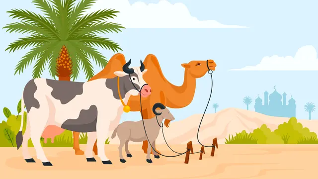Ilustrasi hewan kurban