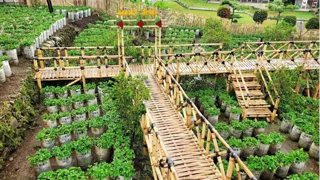 Garden Berry – Petik Strawberry Sendiri