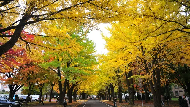 Sapporo