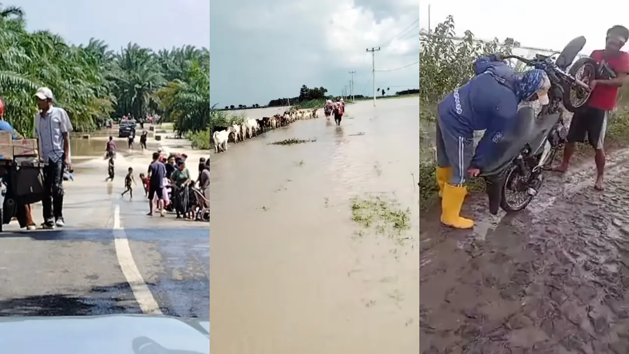 Lima desa di Kabupaten Lampung Selatan terendam banjir akibat tanggul jebol. Foto : (Istimewa).