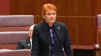 Senator Australia Pauline Hanson yang disebut menyebar pernyataan bohon soal sapi di Bali. (dok. Screenshoot Youtube Pauline Hanson's Please Explain)
