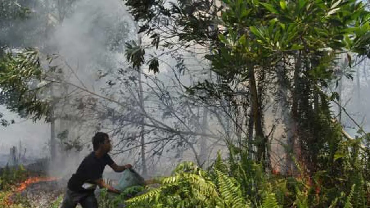 Seorang pria berupaya memadamkan api yang membakar lahan gambut, di Jalan Perdana, Pontianak, Kalbar. (Antara)