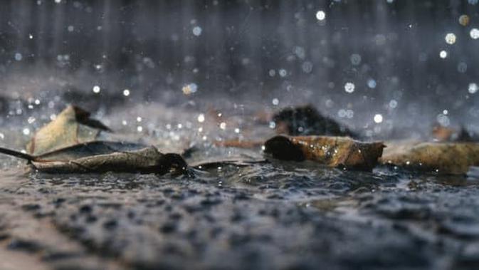 50 Kata Mutiara Tentang Hujan Yang Lucu Dan Bikin Baper Hot