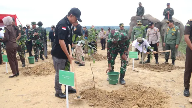Satgas PKH memulai tanam pohon sebagai upaya mengembalikan fungsi Taman Nasional Tesso Nilo.