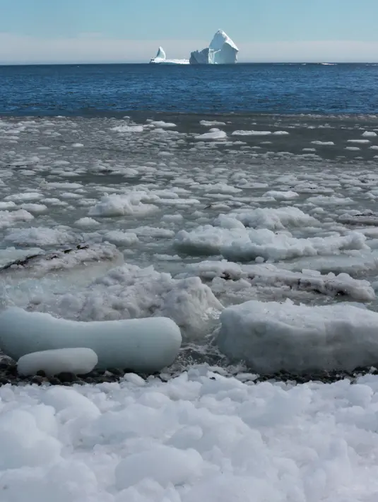 Sebuah bongkahan es raksasa melewati perairan Ferryland Newfoundland, Kanada, (10/4). Perairan yang disebut Iceberg Alley ini menjadi tempat perlintasan pecahan gletser di Greenland pada setiap awal musim panas. (Paul Daly/The Canadian Press via AP)
