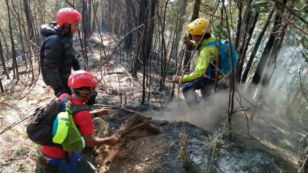 Hutan di Lereng Timur Gunung Kawi di Malang Terbakar Hebat
