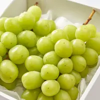 Credit: mapo_japan/depositphotos.com