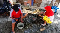 Pekerja mengupas kerang hijau di Kawasan Dadap, Kecamatan Kosambi, Kabupaten Tangerang, Rabu (22/9/2021). Kerang hijua tersebut dijual dengan harga Rp 20 ribu per kilogramnya di wilayah Tangerang Raya.. (Liputan6.com/Angga Yuniar)