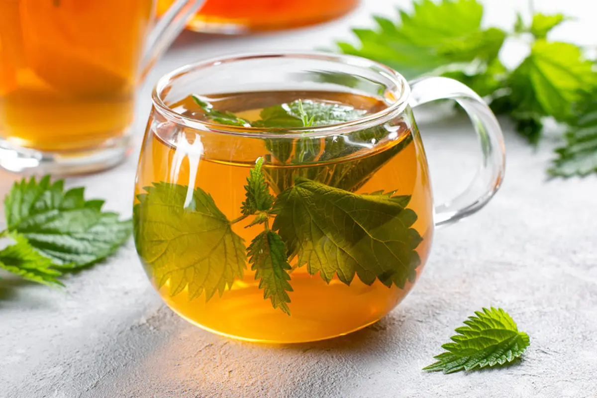 rebusan air seduhan minuman herbal obat jamu
