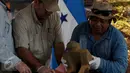 Presiden Honduras, Juan Orlando Hernandez (tengah) dan seorang arkeolog saat memamerkan benda kuno pada upacara di Catacamas, Honduras, (12/1). Benda - benda kuno ditemukan pada 2012 yang menyudut pada legenda "Kota Putih". (REUTERS / Jorge Cabrera)