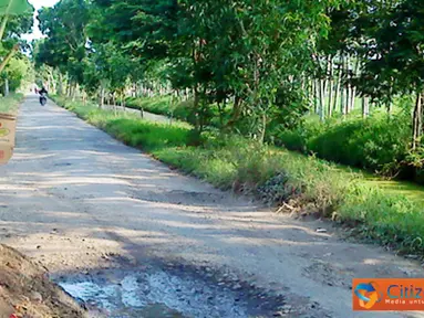 Citizen6, Cilacap: Untuk menghindari kecelakaan akibat rusaknya jalanan maka ditanami pohon pisang agar para pengendara berhati-hati.