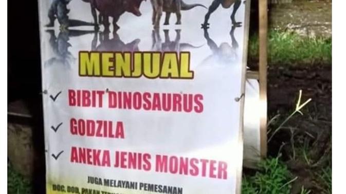 6 Barang Jualan Ini Nyelenehnya Tidak Masuk Logika, Bikin Mikir Keras - Vimarsana News