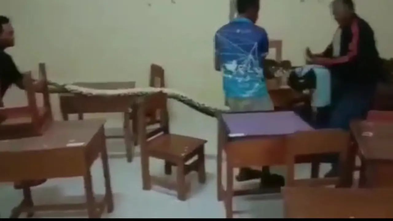 Tak Digunakan Selama Pandemi, Ular Piton 6 Meter Ditemukan di Kelas