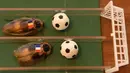 Kecoa yang ditempeli bendera Prancis dan Rumania saat meramal laga pembukaan Euro 2016 di Berlin, Jerman (10/6). Pelukis asal Rusia Nikolai Makarov melakukan prediksi Euro 2016 dengan menggunakan kecoa. (Christof Stache / AFP)