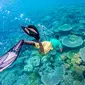 Snorkling di Wakatobi. (Shutterstock)