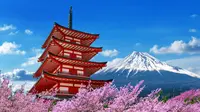 Top 10 Most Beautiful Cities in Japan You Need to Visit