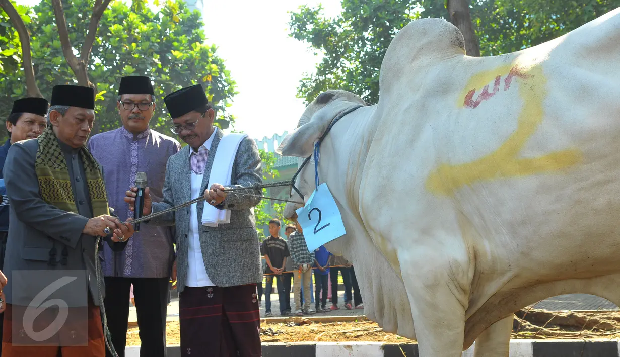 Wakil Walikota Tanggerang, Sachrudin (kanan) memberikan sapi untuk kurban kepada panitia di Masjid Al-Azom, Tangerang, Kamis (24/9/2015). (Liputan6.com/Faisal R Syam)