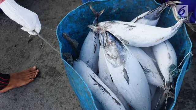 KKP Dorong Ekspor Hasil Tangkap Ikan Nelayan Tradisional