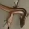 Hewan misterius panjang mirip ular terlihat di video Instagram (sumber: Instagram/@balichannel via India Times)
