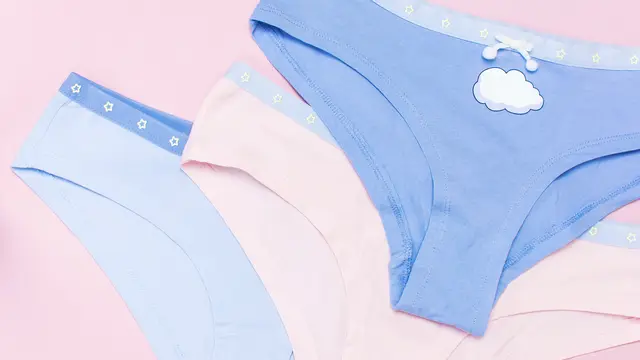 Ilustrasi celana dalam