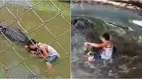 Niat Selfie, Wisatawan Ini Mendadak Diserang Buaya Raksasa yang Dikira Patung