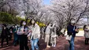 Orang-orang berjalan di bawah pohon sakura di Seoul, Korea Selatan, pada 6 April 2022. Musim semi telah tiba, saatnya berburu bunga sakura yang bermekaran. (ANTHONY WALLACE / AFP)