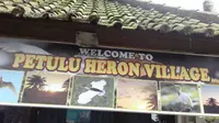 Desa Petulu tempat bernanung burung-burung kokokan (Liputan6.com / HMB)