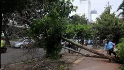 [FOTO] Diterpa Angin Kencang Beberapa Pohon di Sudirman Tumbang 