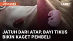 Momen tidak terduga dialami oleh seseorang ketika sedang makan di sebuah tempat makan