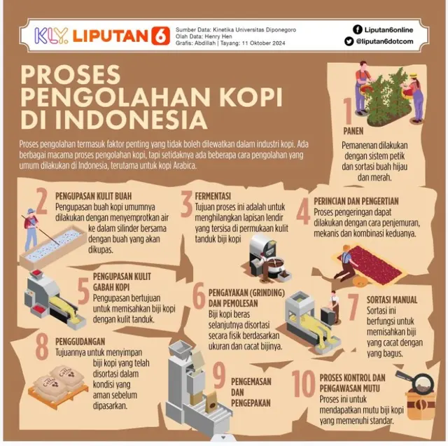 Infografis proses pengolahan kopi di Indonesia.  (Liputan6.com/Abdillah)