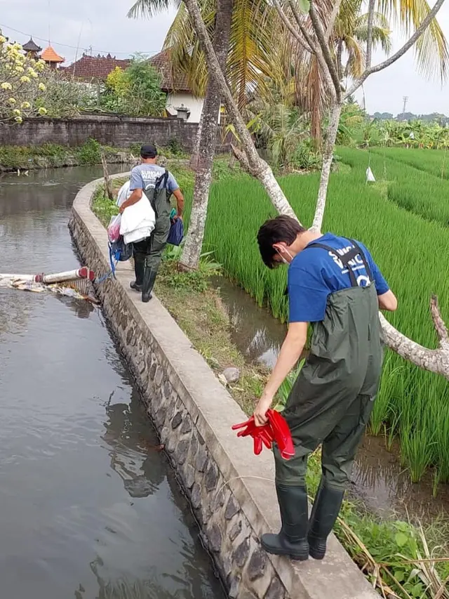 Kiran Cucu Presiden Soekarno Bersihkan Sampah di Sungai