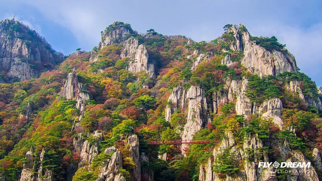 Daedun Mountain Suspension Bridge, Korea Selatan. (Sumber Foto: flydream_drone/Instagram)
