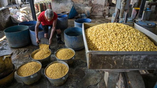 Impor Kedelai RI Melonjak, Negara Ini Jadi Pemasok Utama