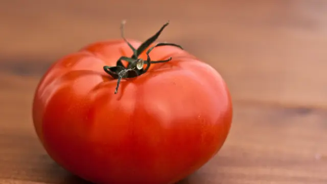 ilustrasi tomat jenis sayuran yang tidak boleh dikonsumsi saat mentah/pexels