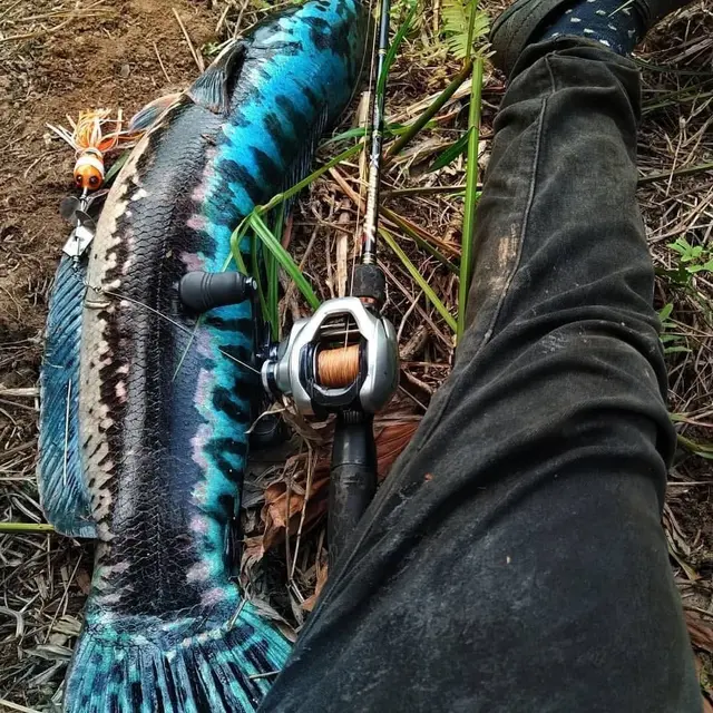 6 Potret Tangkapan Hasil Mancing Ini Bikin Mata Melotot