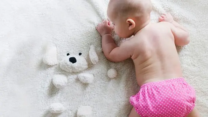 copyright unsplash.com/Picsea