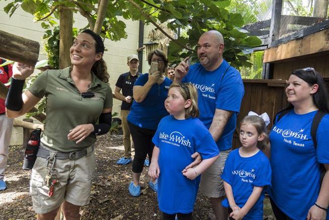 Katie bersama keluarganya melihat Koala di Kebun Binatang Palm Beach/copyright My Palm Beach Post