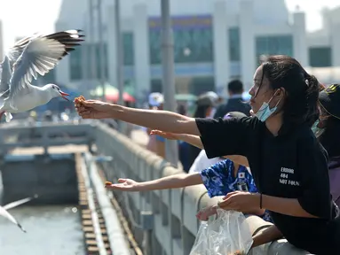 Para turis memberi makan burung camar di Resor Tepi Laut Bang Pu di Distrik Bang Pu, Provinsi Samut Prakarn, Thailand, pada 10 Desember 2020. Untuk menghindari cuaca dingin, kawanan burung camar terbang ke Resor Tepi Laut Bang Pu selama musim dingin. (Xinhua/Rachen Sageamsak)